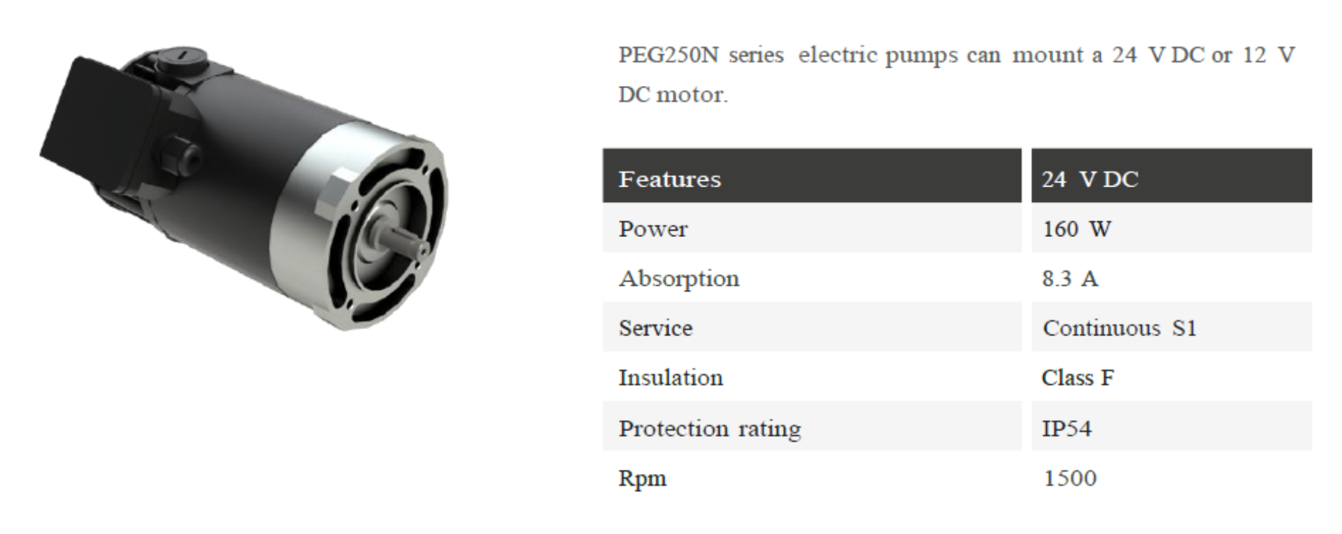 Info motor PEG 250 N 24 VDC EN